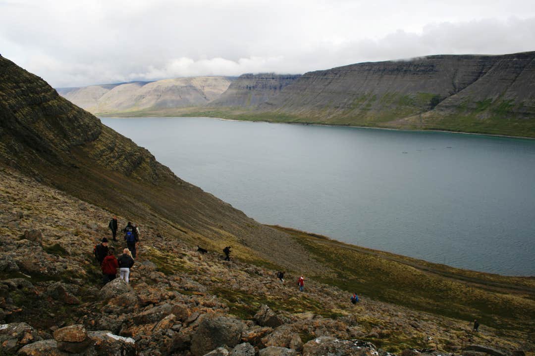 En randonnée entre les deux fjords de l'ouest, Patreksfjörður et Tálknafjörður, vous êtes assuré de profiter de vues spectaculaires sur des montagnes escarpées dominant l'océan.
