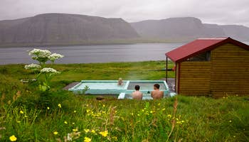 Beautiful 9-Hour Westfjords Sightseeing and Culture Tour from Patreksfjordur
