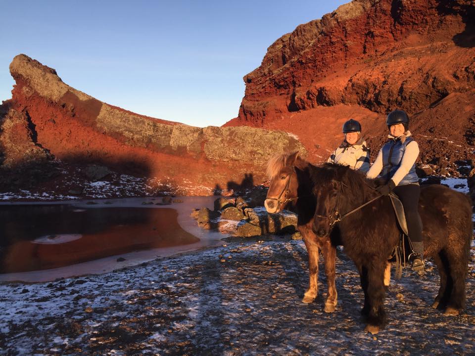 Icelandic horseback riding: Tölt