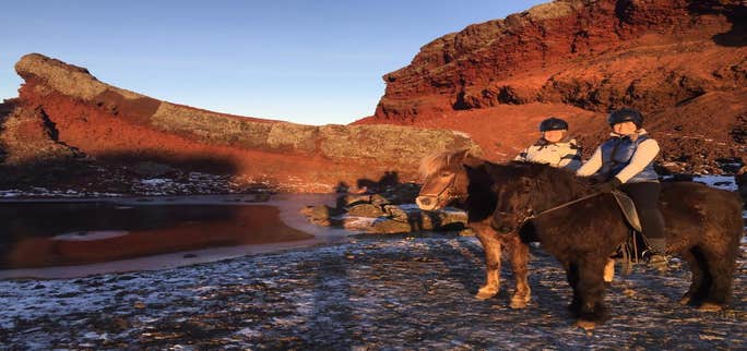 Icelandic horseback riding: Tölt