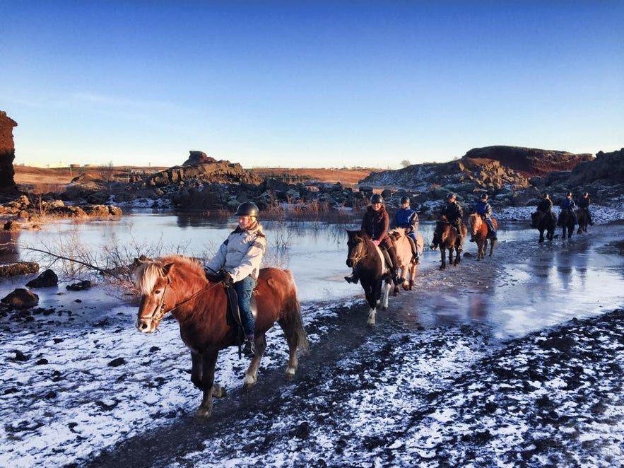 Ice crossing on a sturdy Icelandic horse