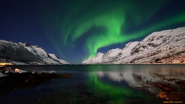 A fjord in Iceland in winter under the dancing Northern Lights.