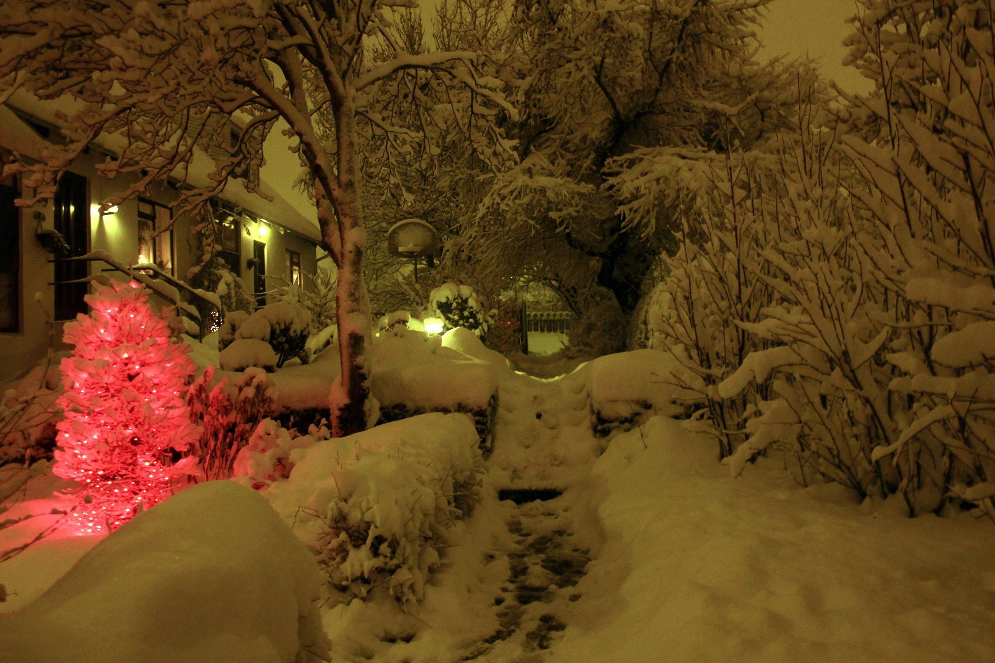 Little bit of snow in December 2015 in Iceland 
