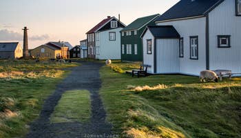 10-dagers leiebiltur utenfor allfarvei om sommeren til Vestfjordene, Snæfellsnes og Flatey på Island