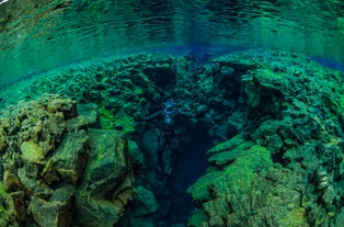 Fai un'immersione in apnea nella splendida gola di Silfra.