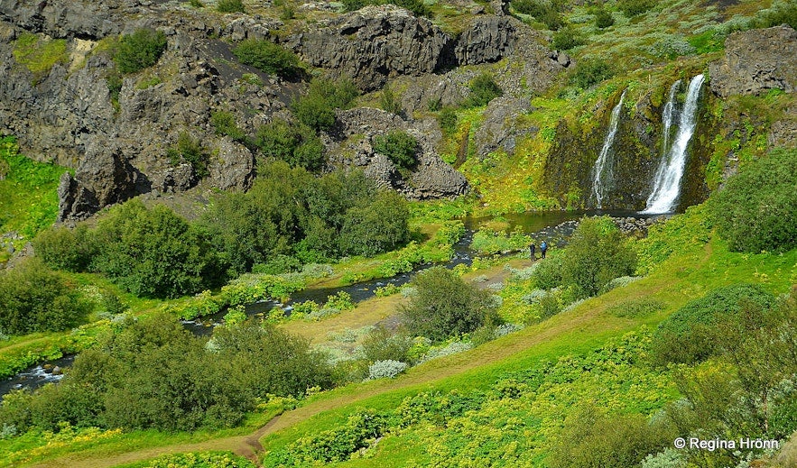 Gjarfoss tumbles into a pristine pool of water, which then flows down a rocky stream bed.