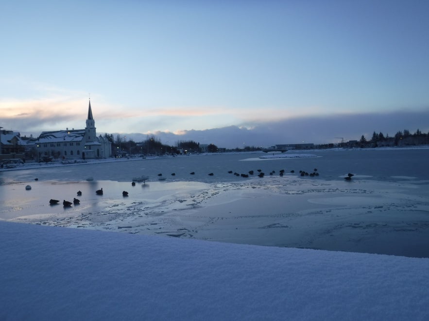 Cosas que ver sin salir de Reykjavik