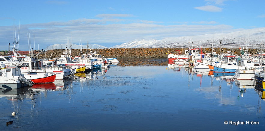 A Winter Visit to Akureyri - the Capital of North Iceland - my 300th Travel Blog