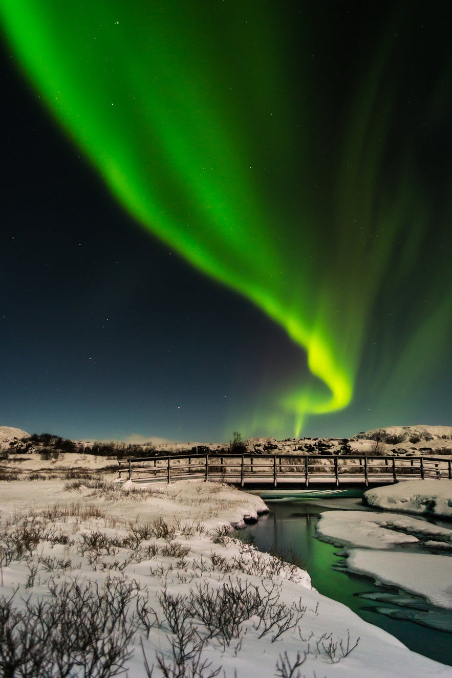 Everything you need to know about the northern lights