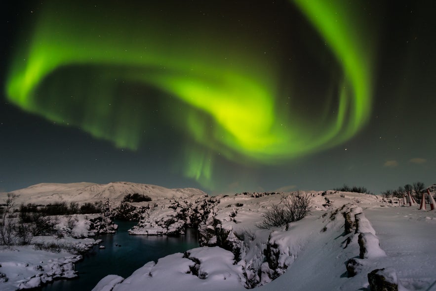 Everything you need to know about the northern lights