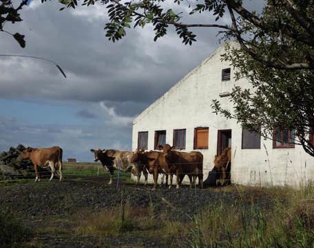 DalsSel Farm Guesthouse