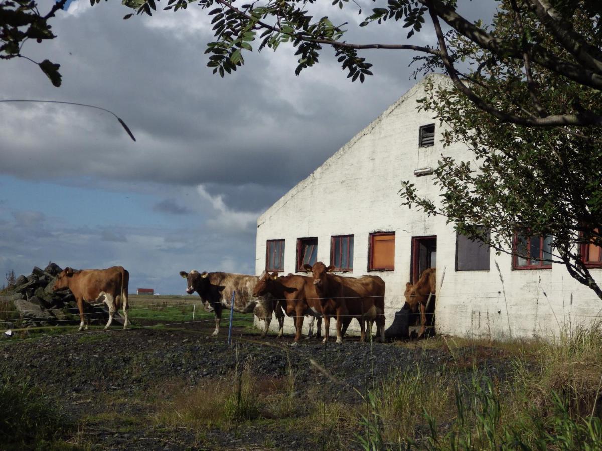 DalsSel Farm Guesthouse