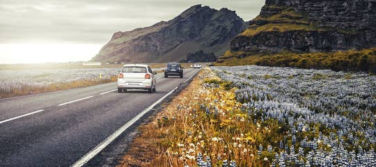 cars ring road sunset lupine shutterstock 1600px (3).jpg