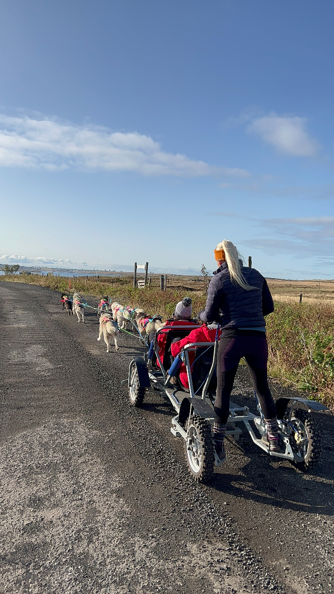 An experienced musher leads the cart racing tour near Reykjavik.