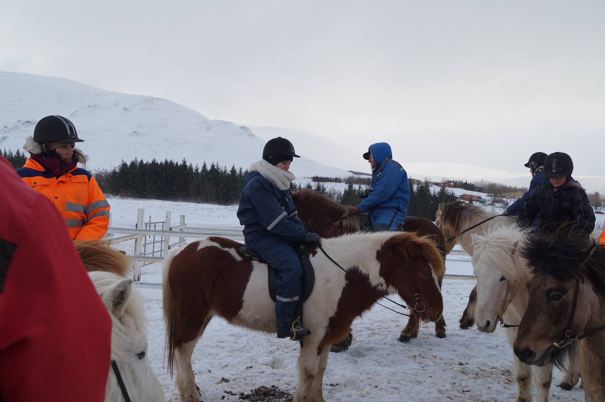 Montar a caballo y C&iacute;rculo Dorado en un d&iacute;a