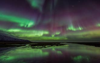 Het aurora borealis, groen en paars, danst in de winter over de rotskust van IJsland.