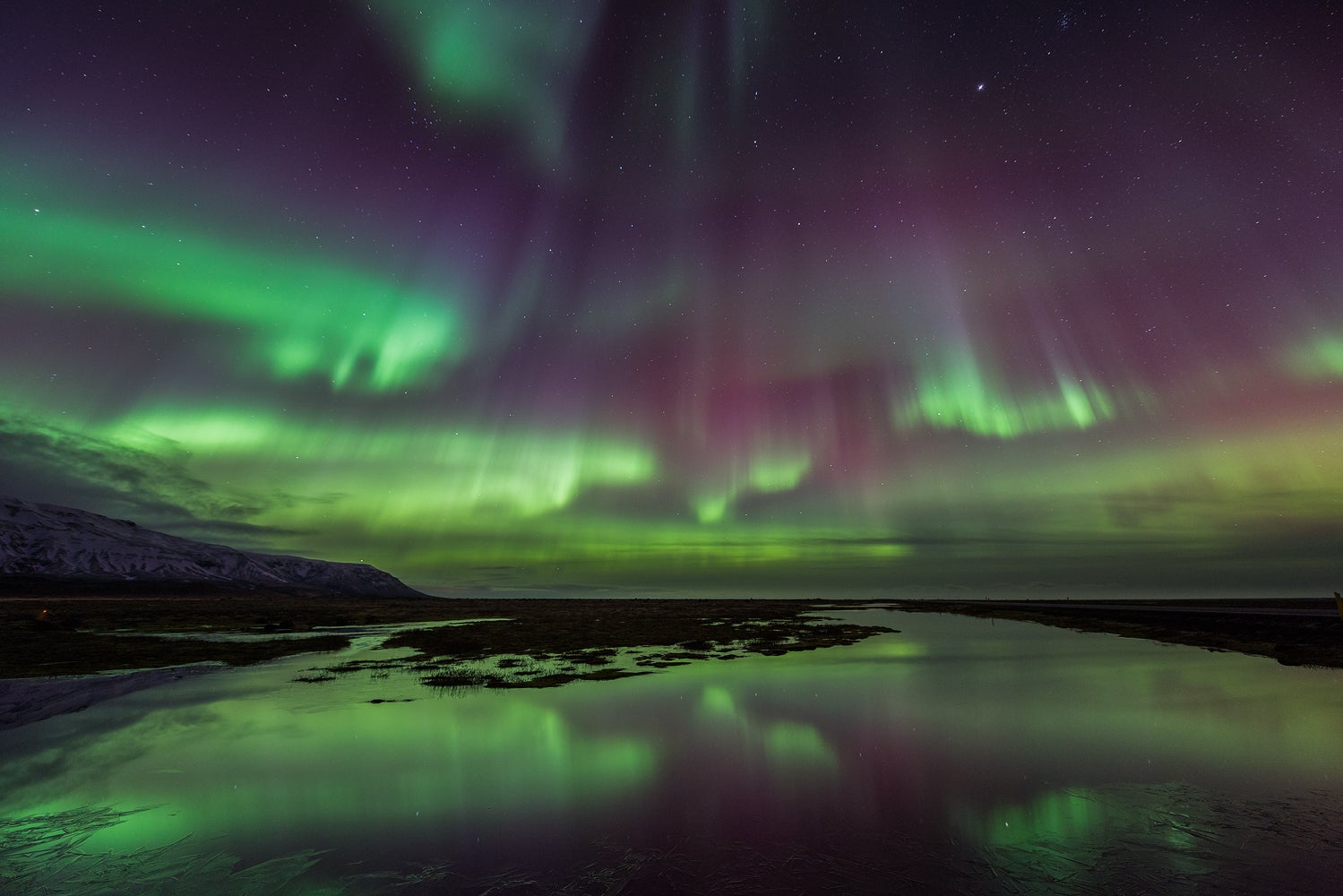 The aurora borealis, green and purple, dancing over the rocky coast of Iceland in winter.