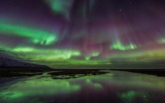 The aurora borealis, green and purple, dancing over the rocky coast of Iceland in winter.