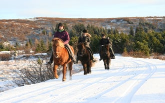 Horseback riding from Reykjavík is no difficult task for the strong and determined Icelandic horse.