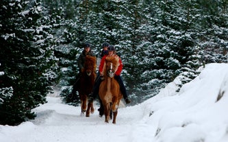 C'est féérique de faire une balade à cheval en hiver