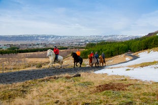 A group of horses and their riders on a tour in Iceland.