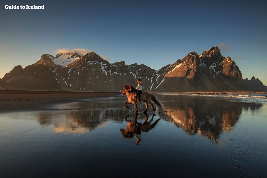 Rider on Icelandic horse at Stokksnes beach with Vestrahorn Mountain reflected in wet sand at sunset.