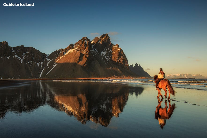 Balade à cheval sur une plage déserte le long d'un fjord en Islande