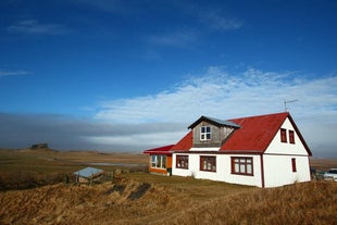 Nýpugarðar