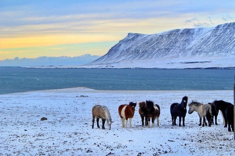 Hvalfjörður (Whale Fjord) during wintertime in Iceland