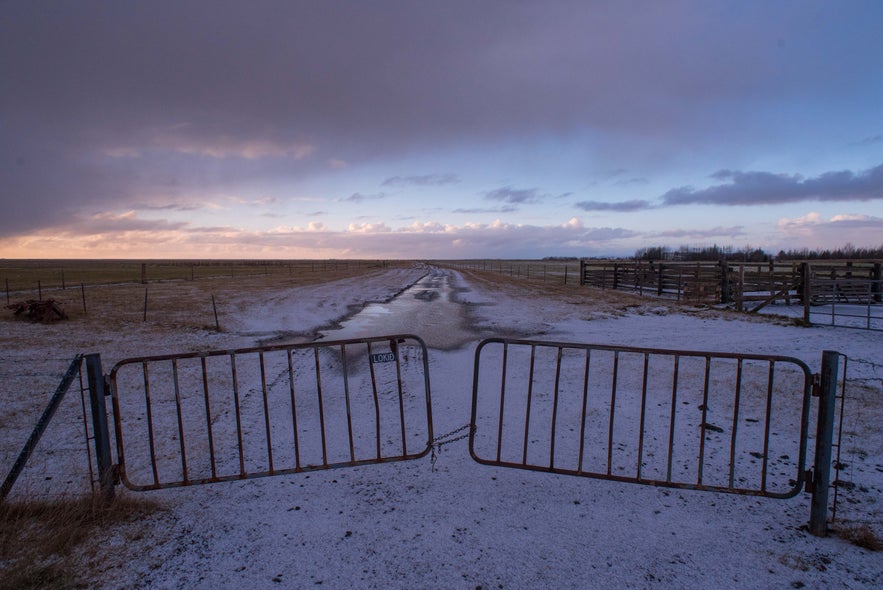 The View from Iceland's Ring Road