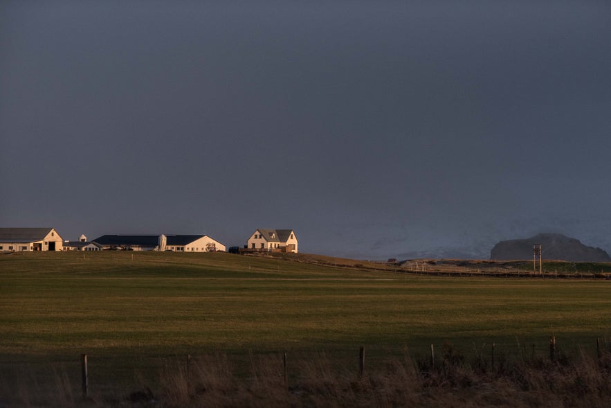 The View from Iceland's Ring Road