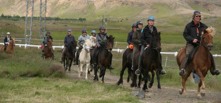 On the horse-riding section of the tour, you will have the opportunity to gallop quite fast, if so desired.