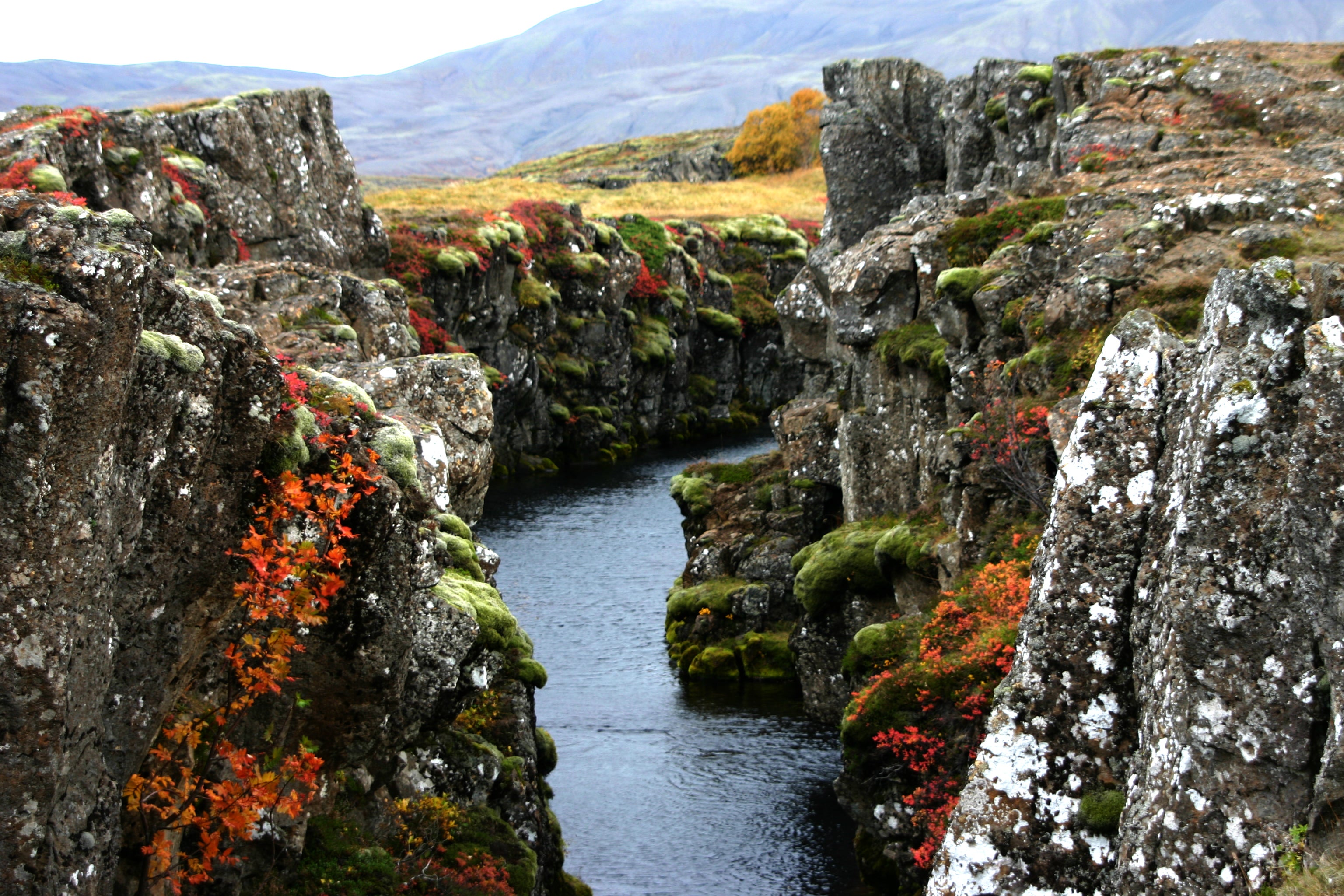 reykjavik tour golden circle