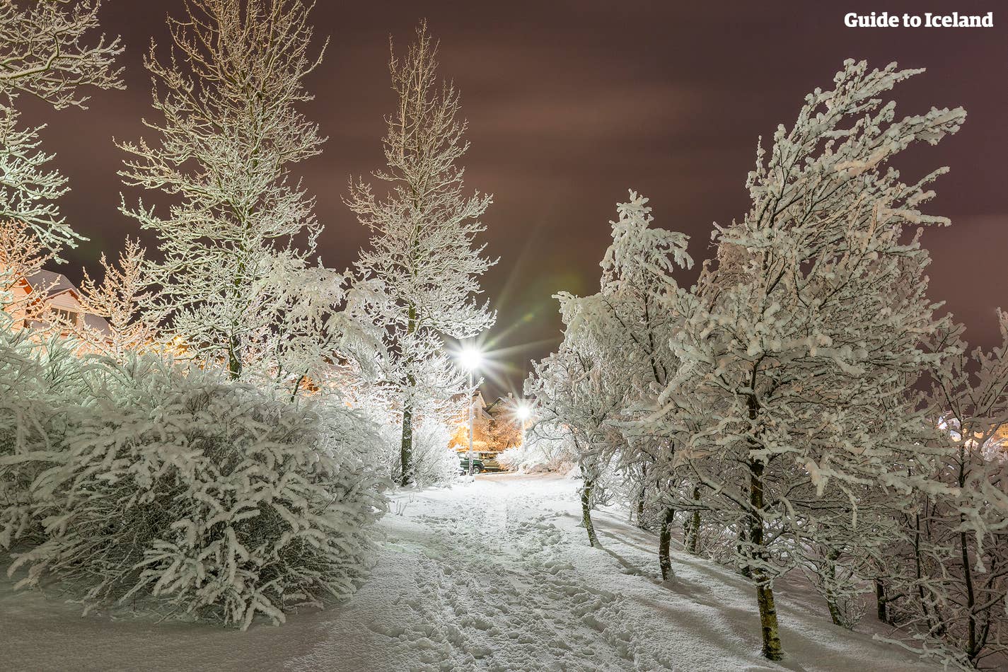 Reykjavik recouvert de neige : un paradis blanc.