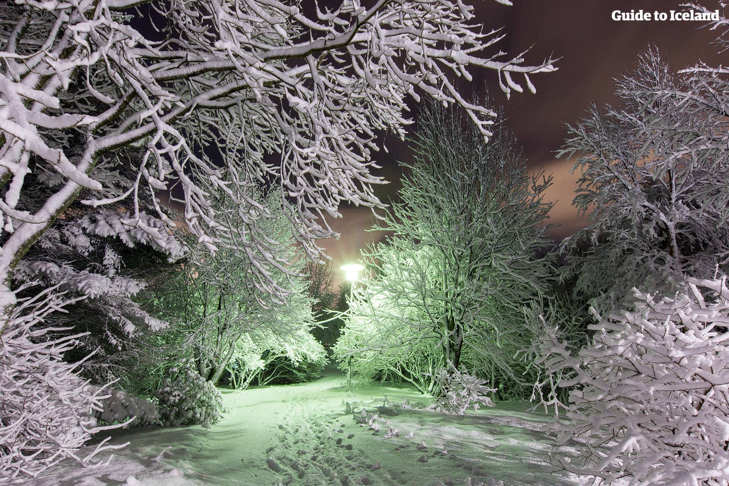 Ook de zwakste lichtbronnen worden weerspiegeld door de helderwitte sneeuw tijdens IJslands winternachten. 