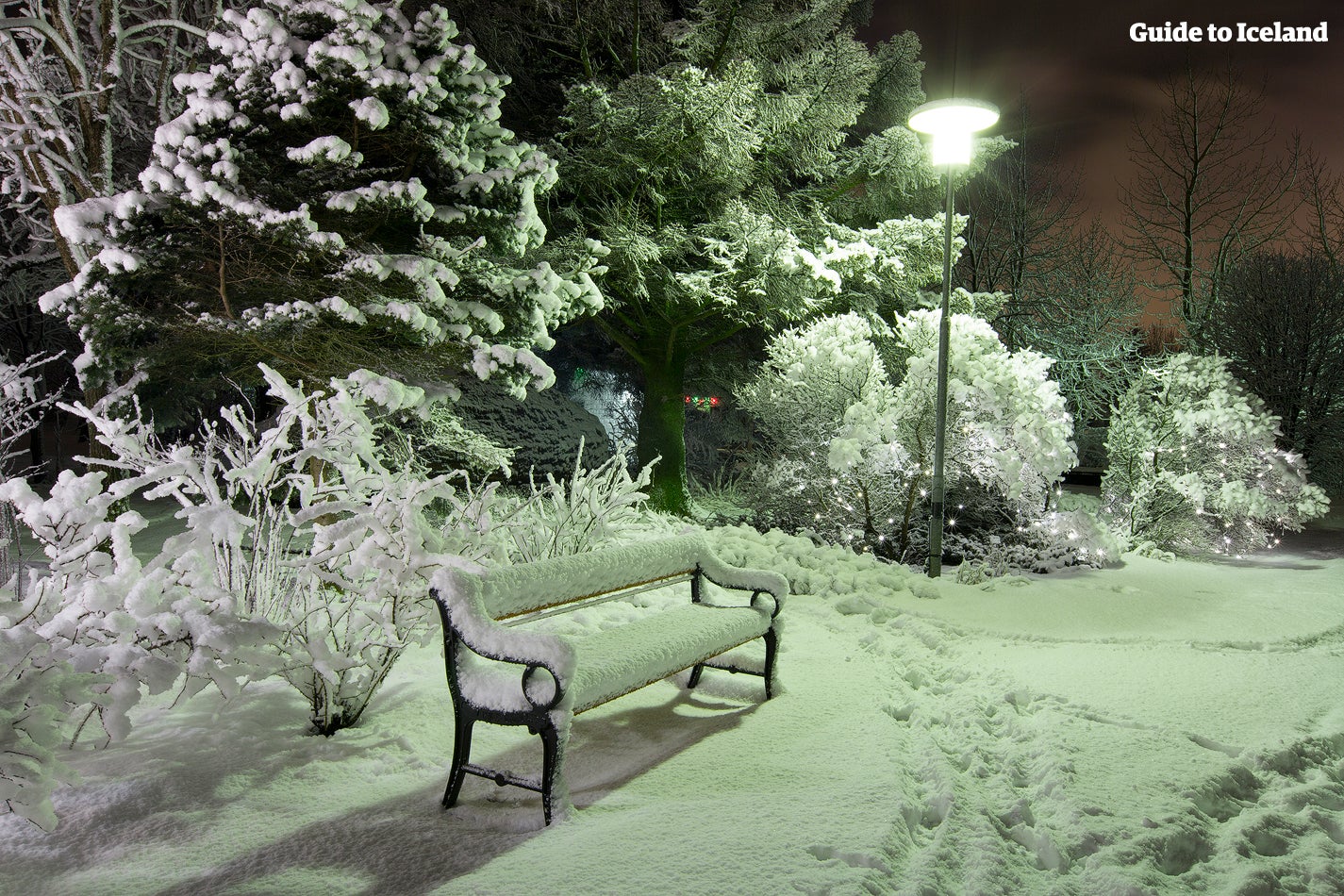 In Icelandic, hundreds of words describe snow, ice, and winter weather. 'Mjöll' is the Icelandic word for new-fallen snow. 