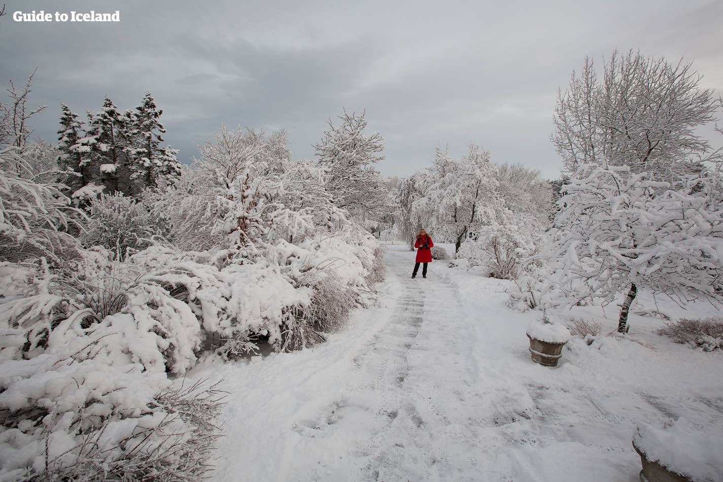There is no feeling like walking in the new-fallen snow on a winter morning in Reykjavík.