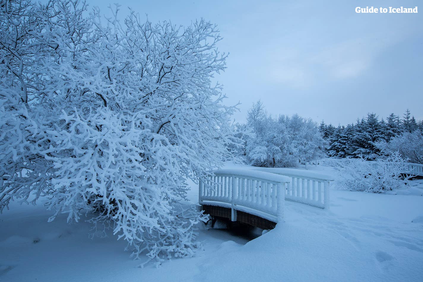 A lonely snow-covered footbridge in Reykjavík's Laugardalur, 'The Valley of Baths'.