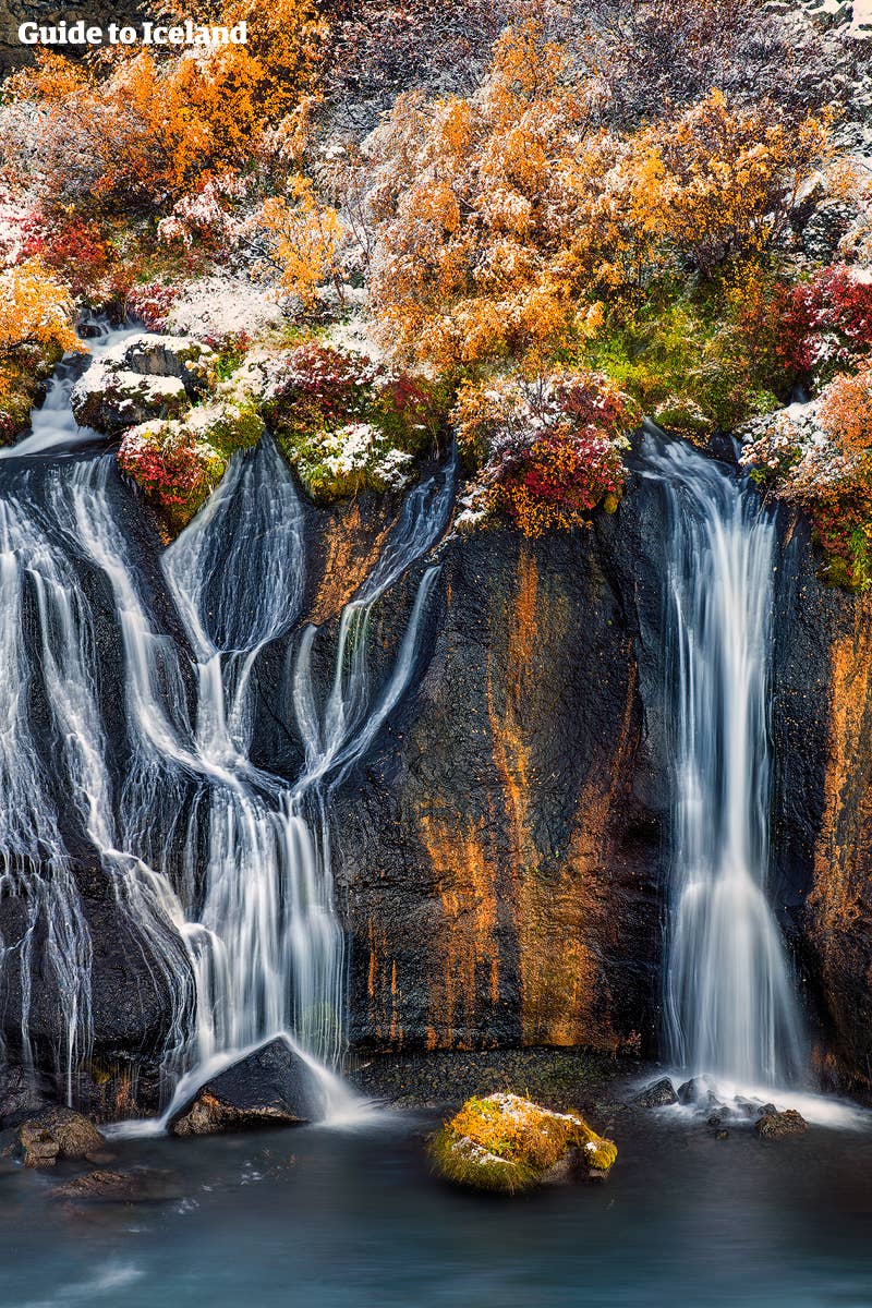 Herfstkleuren bij de Hraunfossar-watervallen in West-IJsland