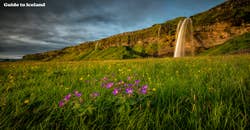 Waterfalls guide to iceland23.jpg