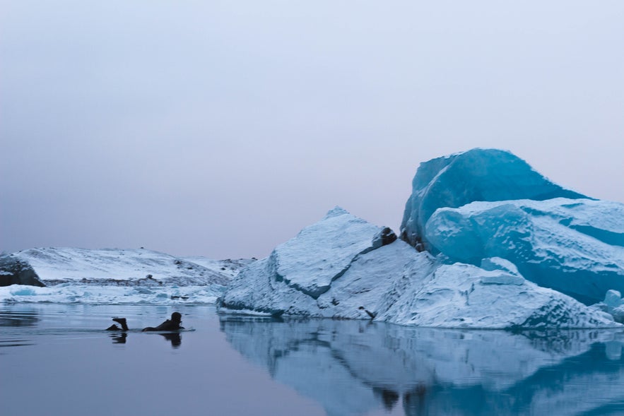 Glacier Lagoon & Diamond Beach - great for adventure photography