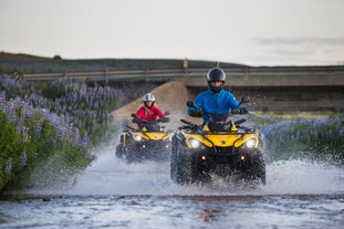 Het is gemakkelijk te begrijpen waarom het zo leuk kan zijn om in een quad te rijden.