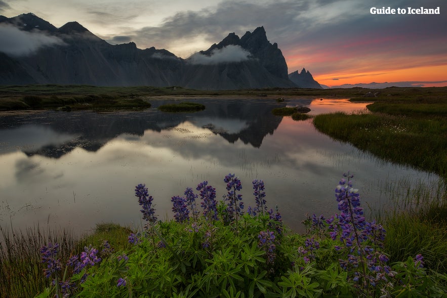 Berget Vestrahorn på östra Island sett från Hvalnes