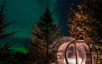 冬季入住Buubble Hrosshagi的泡泡房,可在房内欣赏绚丽的北极光。