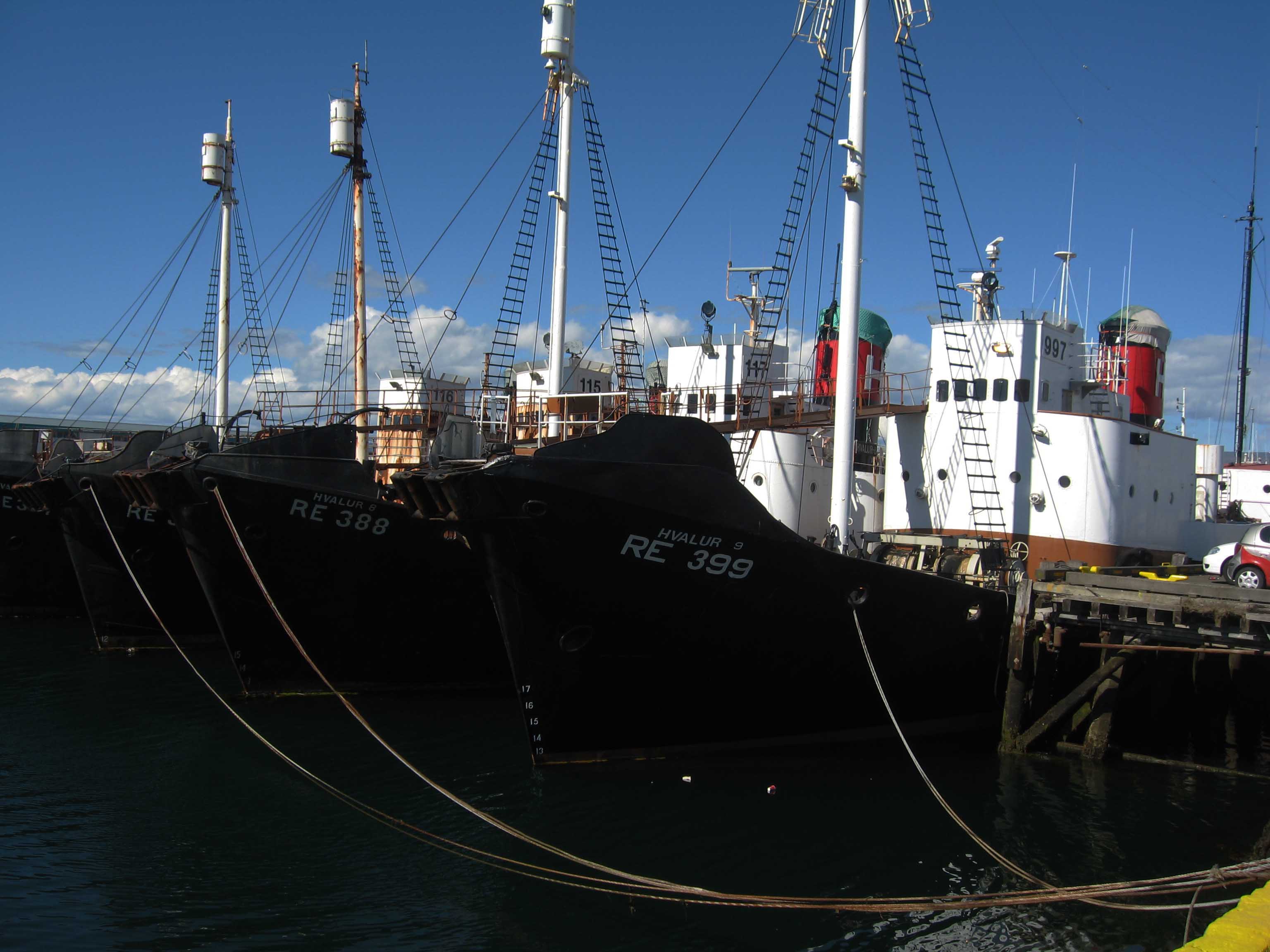 Whaling ships in Iceland. Photo by Wurzeller. Wikimedia Creative Commons.