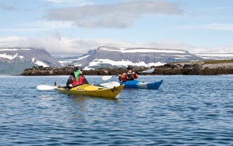 Pour faire du kayak en Islande en été, ne cherchez pas plus loin que les Fjords de l'Ouest,