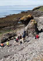 Sur les plages de l'île de Vigur, dans les Fjords de l'Ouest, vous avez de grandes chances de voir des phoques.