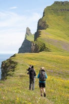 Wildblumen, dramatische Klippen und saftiges Grün prägen den abgelegensten Teil der Westfjorde im Sommer.