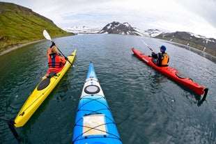 This camping and kayaking tour through the Westfjords will introduce you to the Hornstrandir Nature Reserve.