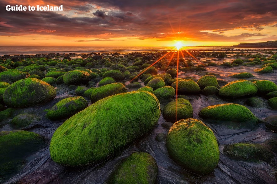 Moss covered rocks sit in the light of the Midnight Sun.